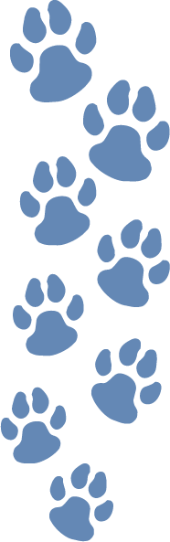 dog footprints